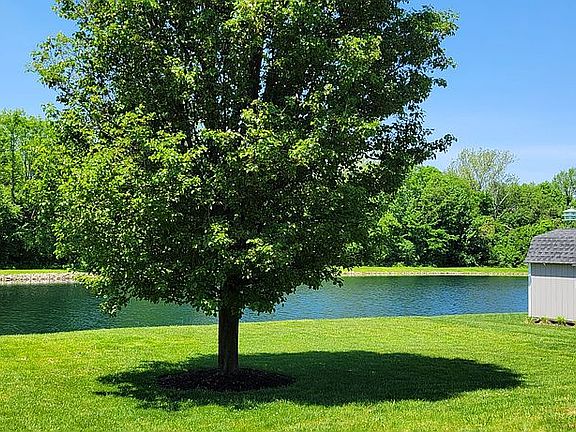 View of part of backyard