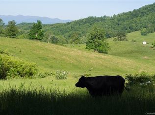 N Turkey Creek Rd, Leicester, NC 28748