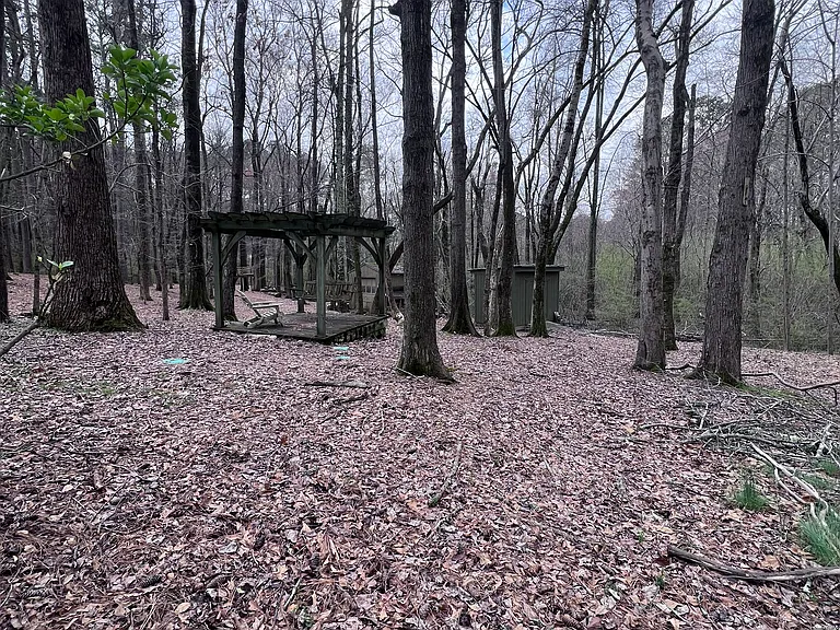 Backyard: gazebo & storage shed