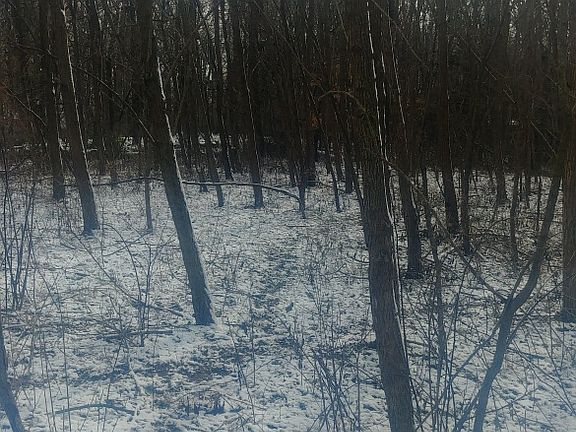 2nd image of 17 Willow View Dr SW