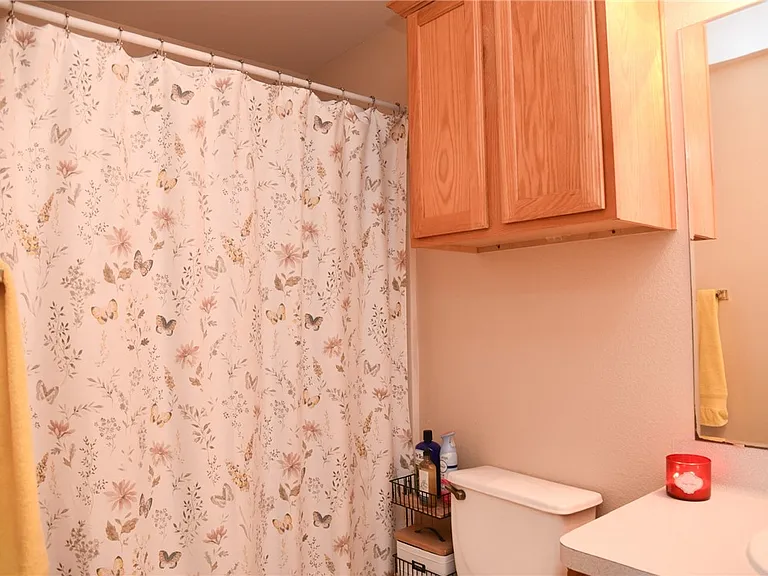 3813 Oldenburg Ln — Photo 10