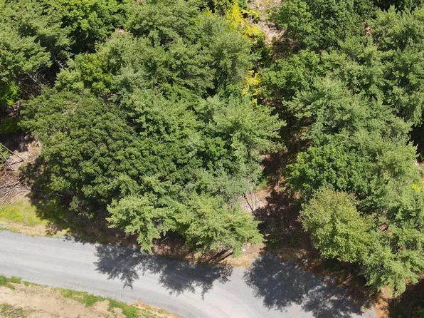 9 Adk Acres prvt Road (Lot 9), Edinburg, NY 12134