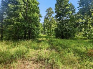 31577 Bohlssen Rd, New Caney, TX 77357