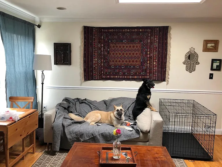 Pet friendly!