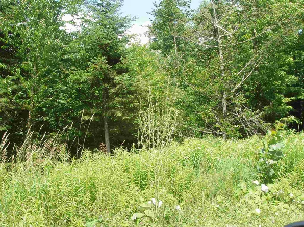 41 Moose Hollow Road #41, Winhall, VT 05340