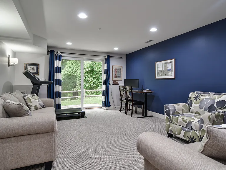 Walk out basement: family room