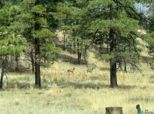 20 Nuee Ardente Rd, Grants, NM 87020