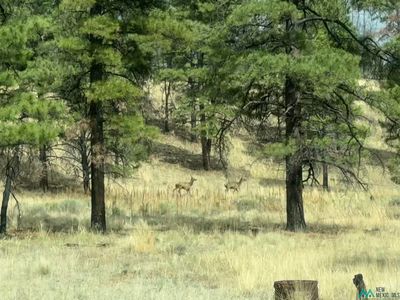 20 Nuee Ardente Rd, Grants, NM, 87020