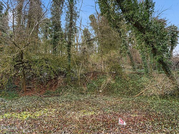 3rd image of 0 Irene Ave