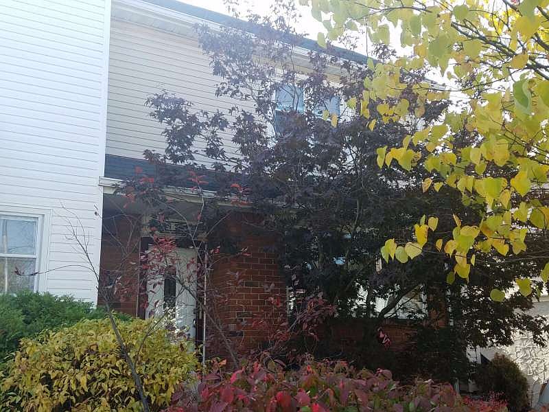 1st image of 121 Dogwood Dr