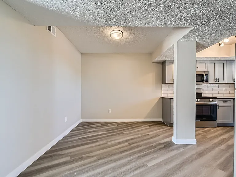 Rise Spring Pointe — Photo 52