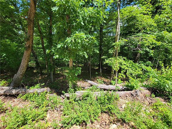 4th image of Alston Cir #10