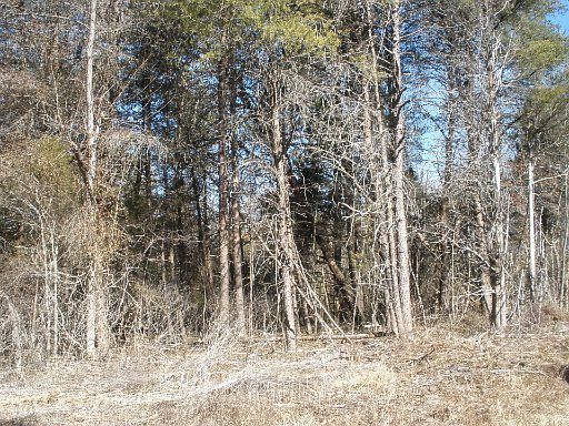 1st image of Old Knoxville Hwy