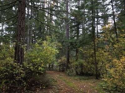 36201 S 62nd Avenue, Roy, WA, 98580