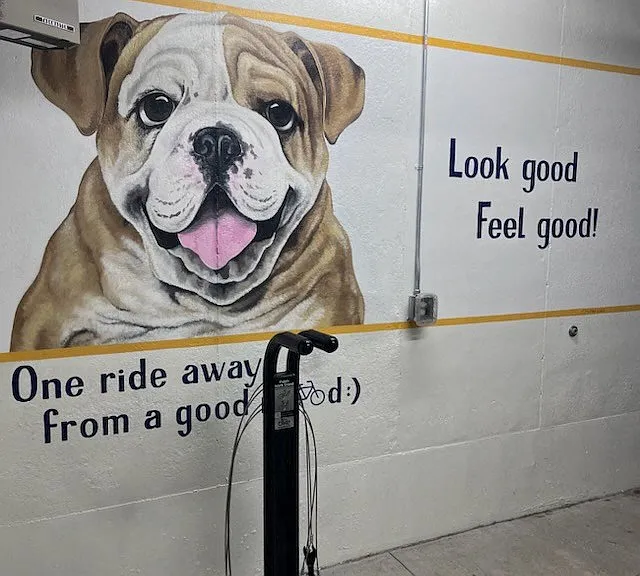 Need to fill up your bike's tires! It's easy with our bike repair station.