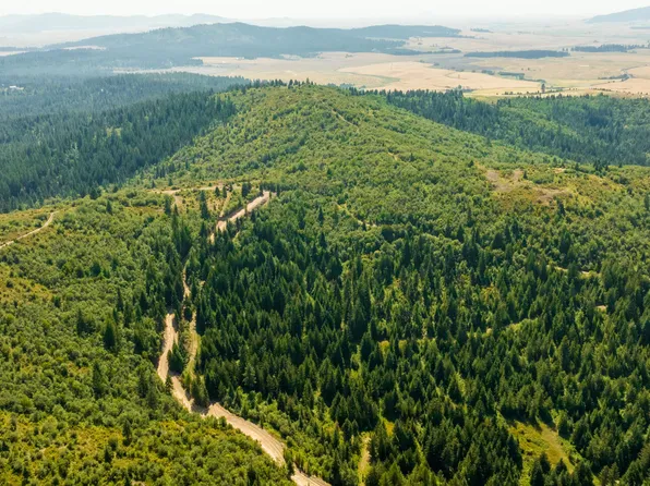 PARCEL 1 Agency Rd, Plummer, ID 83851