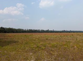 0 Moore Rd Lot 1, Naylor, GA 31641