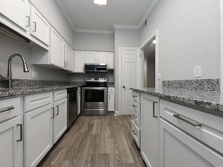 Stainless Appliances + Modern Cabinetry