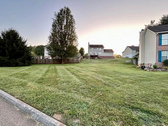 Large yard