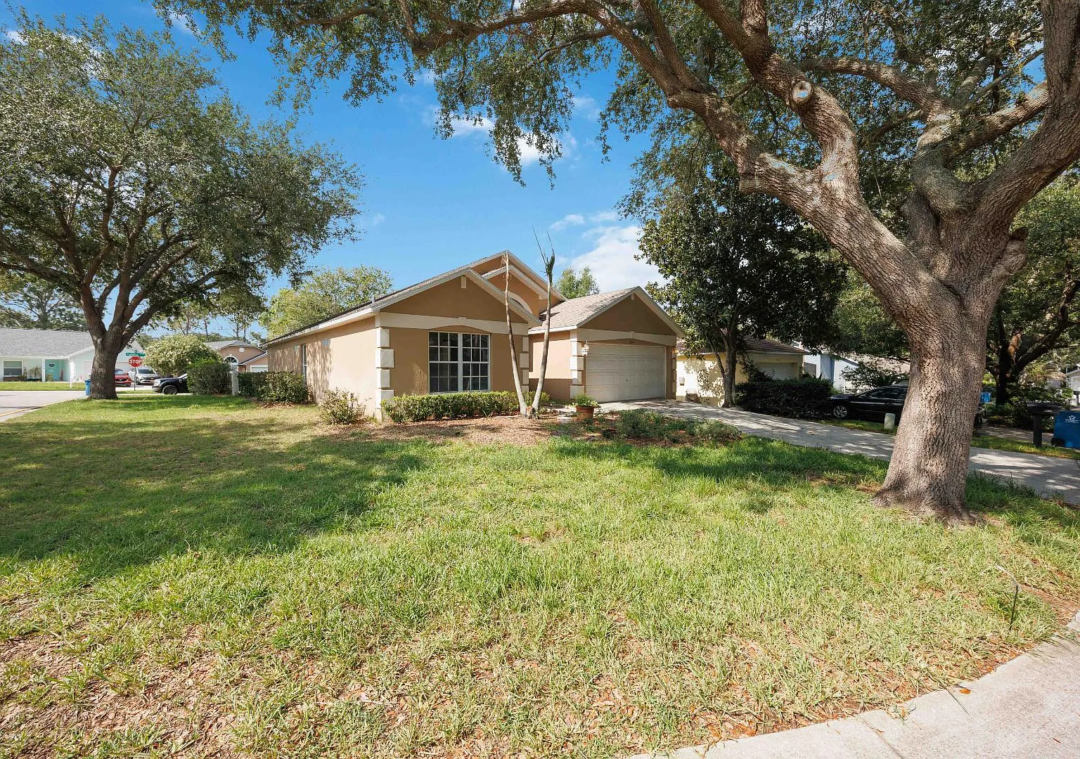 2364 Paulette Dr — Photo 3