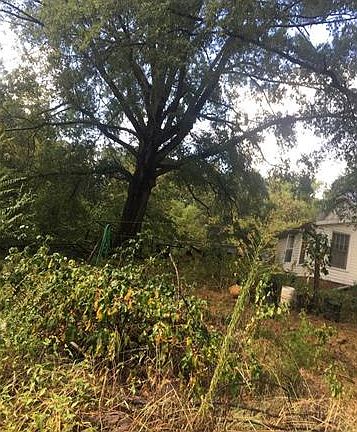 3rd image of 154 Lantern Acres Dr