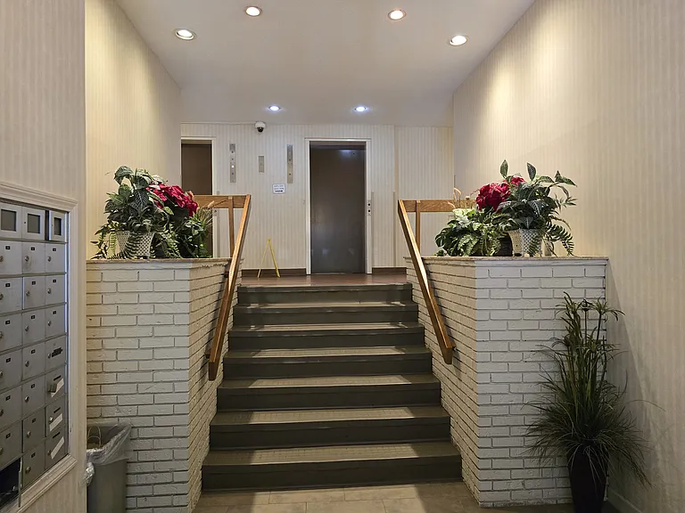 34 Padanaram Rd #229 — Photo 32
