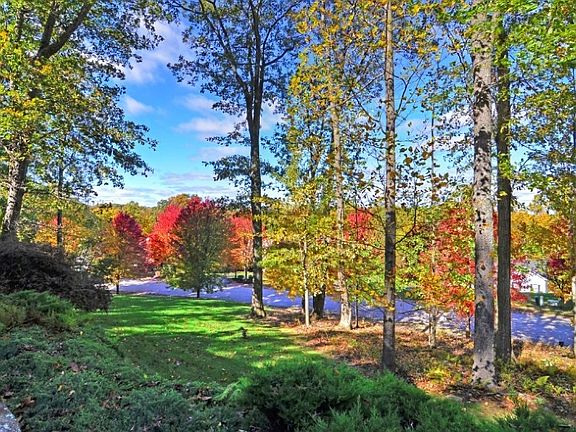 Gorgeous View from Front