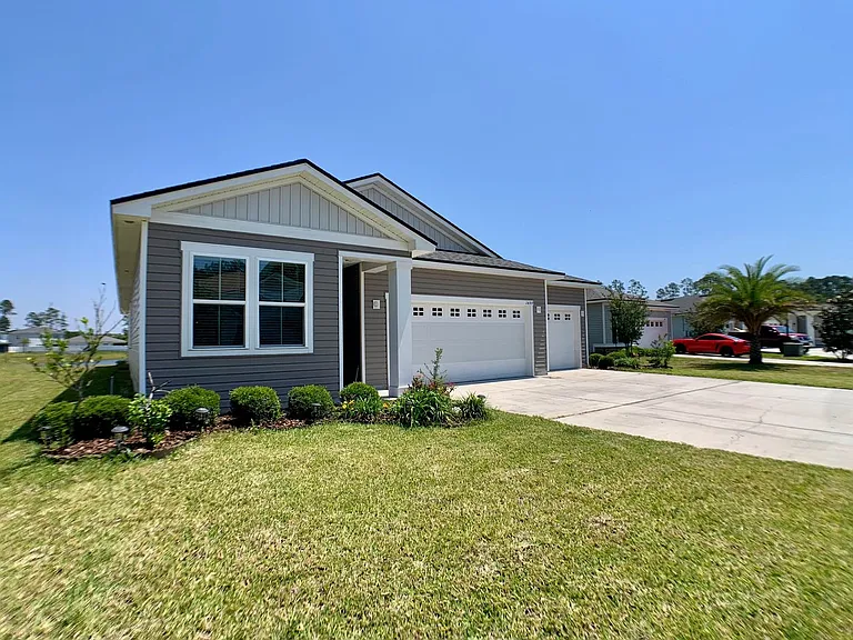 1499 Tropical Pine Cv — Photo 5