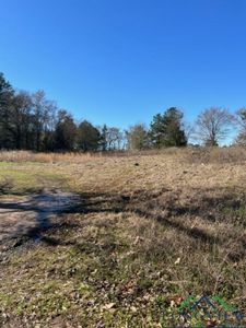 677 Martin Ln, Gilmer, TX, 75645