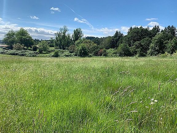 Southern acreage