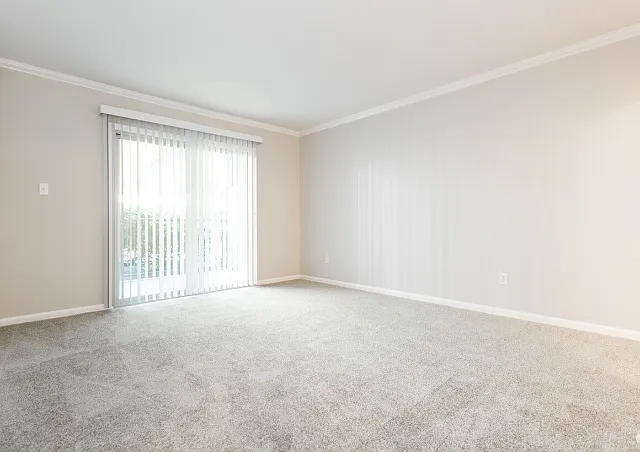 1 Bed 1 Bath