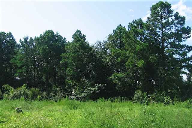 1st image of 87 Seagrass Ct
