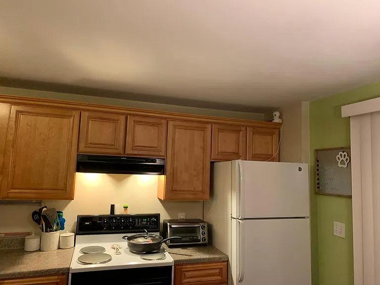 33 Pepperbush Pl — Photo 9