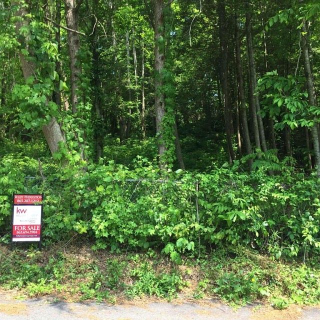 2nd image of 120 Oglewood Ln