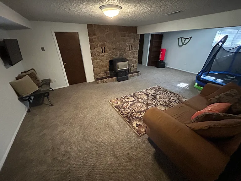 Basement Living Space