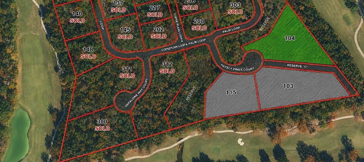 104 Chateau Pines Ct — Woodforest Golf Club