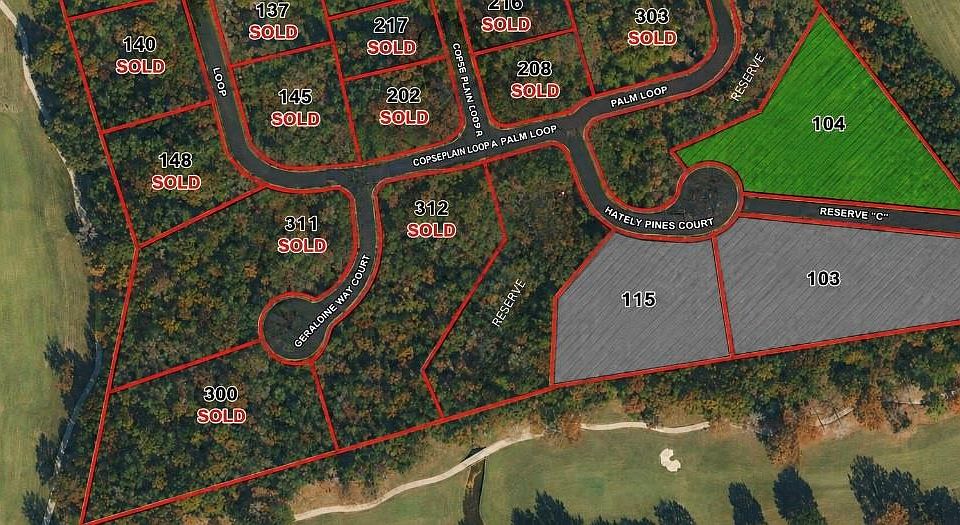 1st image of 104 Chateau Pines Ct