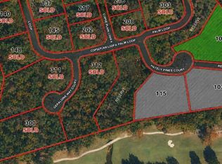 104 Chateau Pines Ct, Montgomery, TX 77316