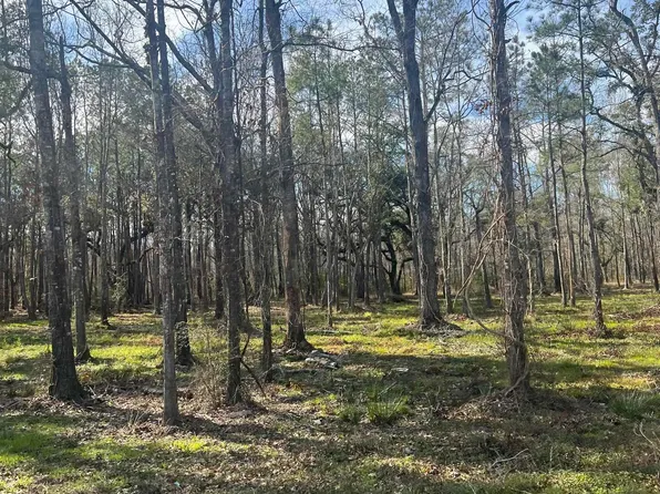Wc 7 Coates Rd, Springfield, LA 70462