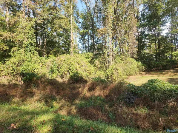 239 Brookhaven Ln, Hamilton, AL 35570