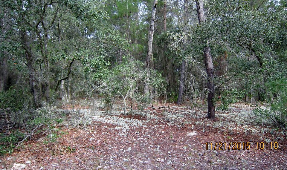 1st image of 140 Florida Blvd
