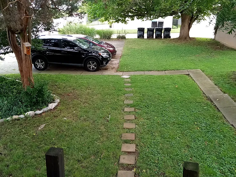 Rear Parking Lot