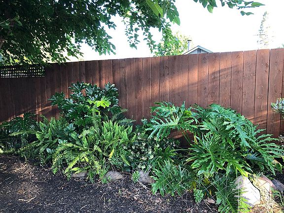 Backyard Landscaping 