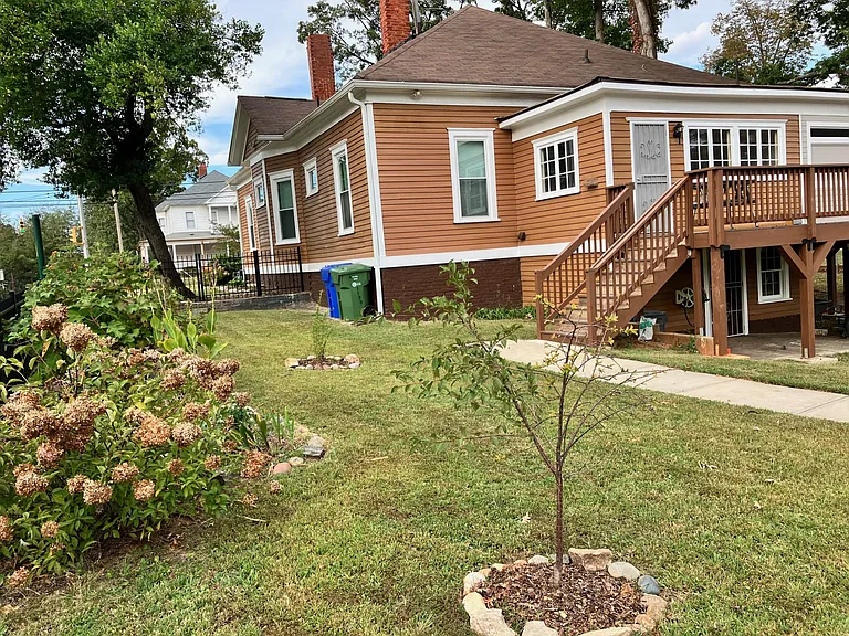 Deck/Rear