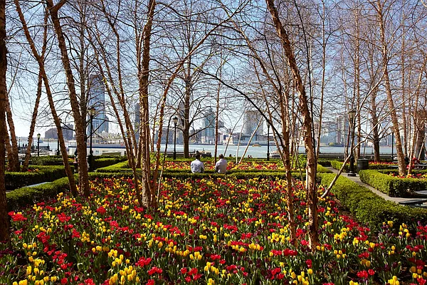 Rented by Compass | media 25