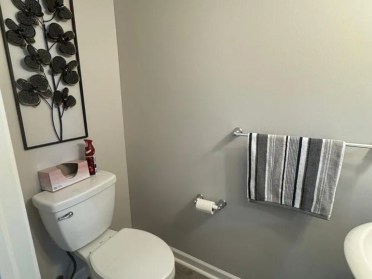 731 Trout Creek Ln — Photo 11