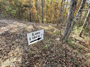 13 Topaz Way LOT 1-3, Parrottsville, TN 37843