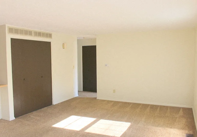 7539 Pomeranian Dr — Photo 3