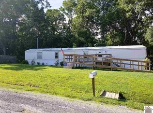 60 Lynx Ln, Murray, KY 42071