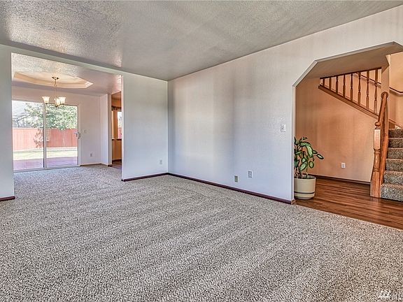 Fresh paint and carpet